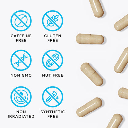 Mind Lab Pro MLP v4 Universal Nootropic Brain Booster Supplement 60-Count